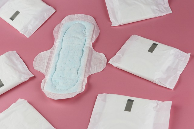 dámské menstruační vložky